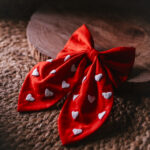Hand Embroidered Tail Bow